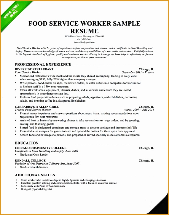 Food Service Resume Professional