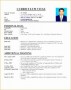 8 Customer Service Resume Samples