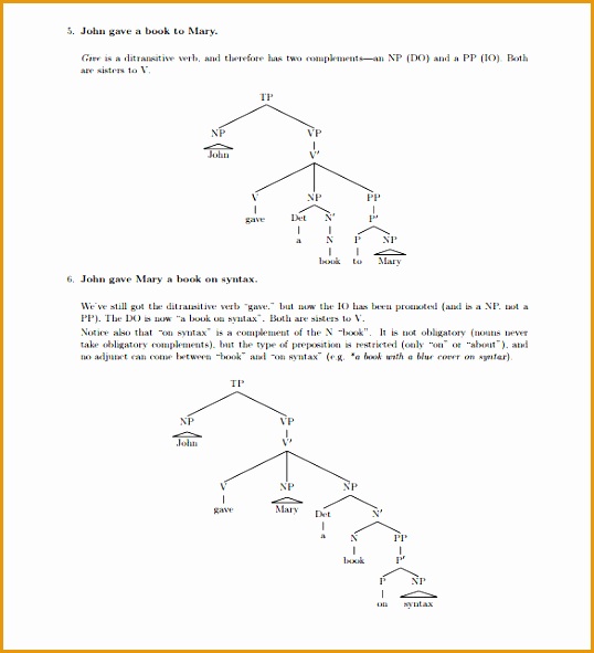 tree diagram template591538