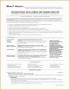 8 Executive Director Resume Samples