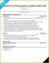 5 Free assistant Manager Resume Template