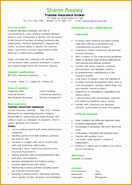 financial cv template 269644460
