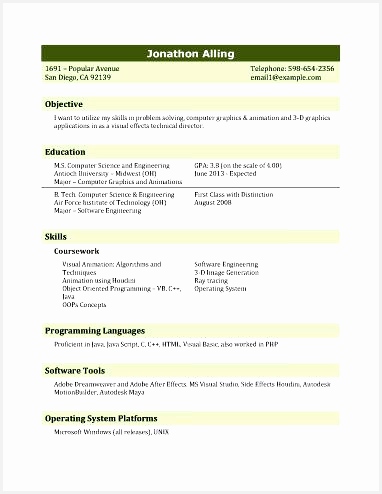 Resume Template for IT Graduate494382