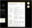 7 Cv Template Graphic Designer
