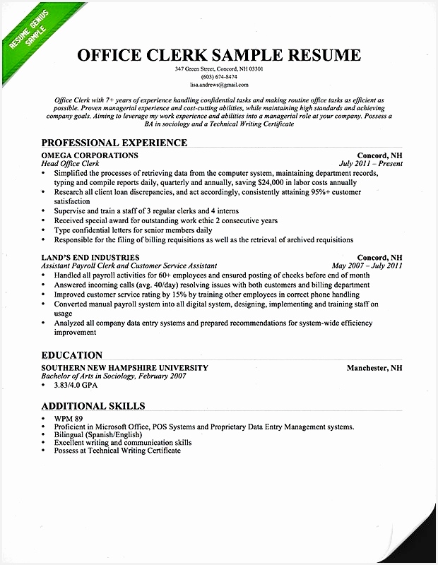 How to Write A Usajobs Resume Federal Government Resume Template Best Bsw Resume 0d800620