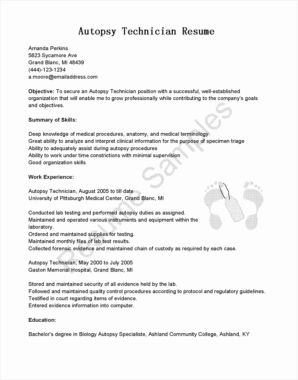 Best Resumes Templates Best Pr Resume Template Elegant Dictionary Template 0d Archives16001257