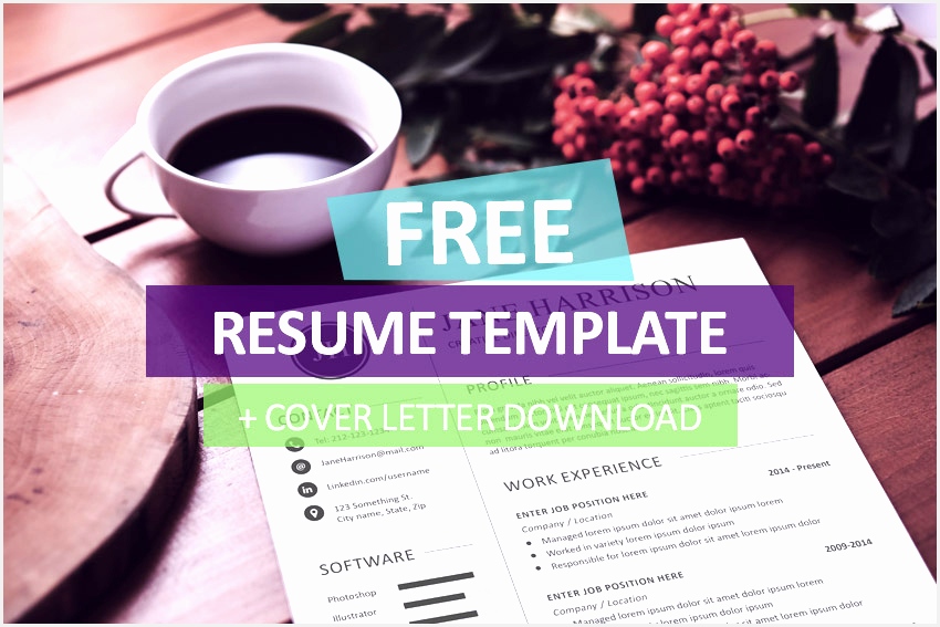 free resume template and cover letter567850