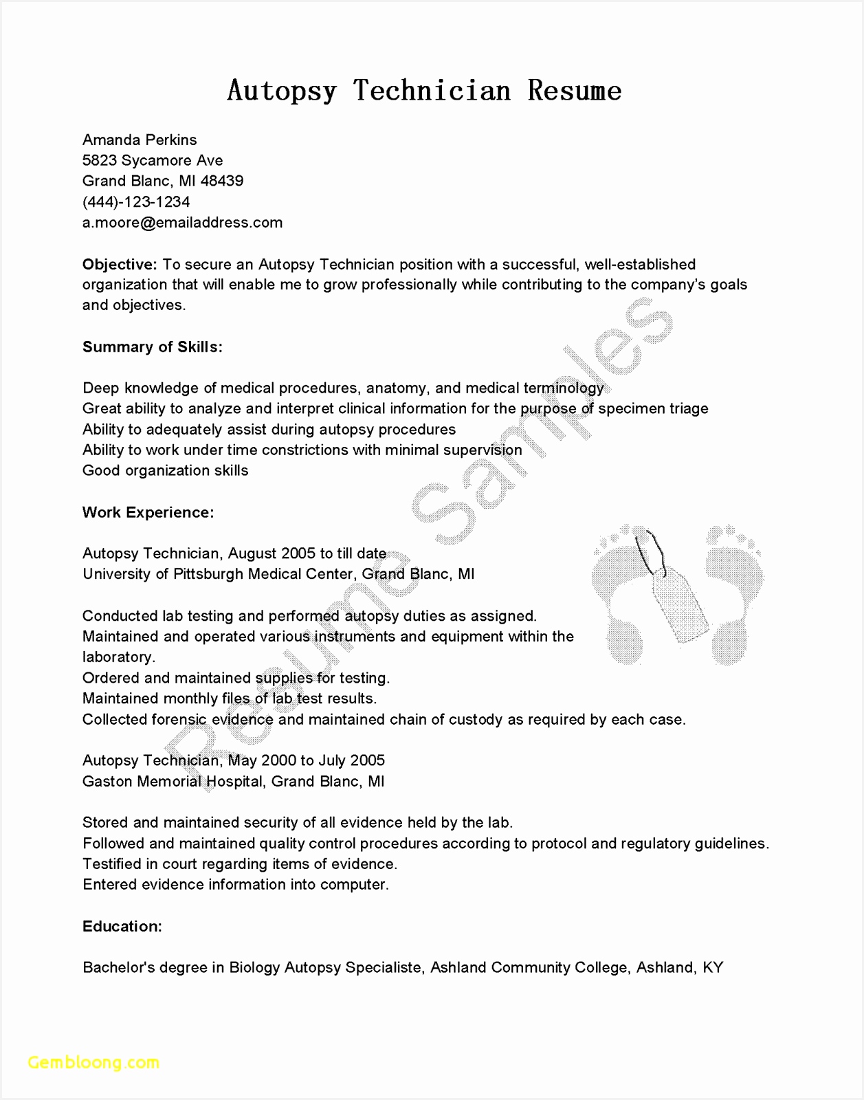 Business Letterhead Word Template Valid Resume In Microsoft Word New Executive Resume Templates Word Od16001257