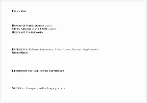 Great Resume Templates for Microsoft Word Inspiration Best Federal Government Resume Template Best Bsw Resume 0d210300