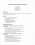 9 Professional Cv Template 2017