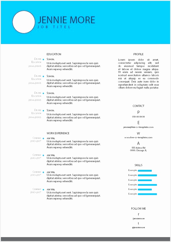 Cv Indesign Template Inspirational Curriculum Vitae Template Free842595
