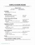 7 It Professional Resume Example