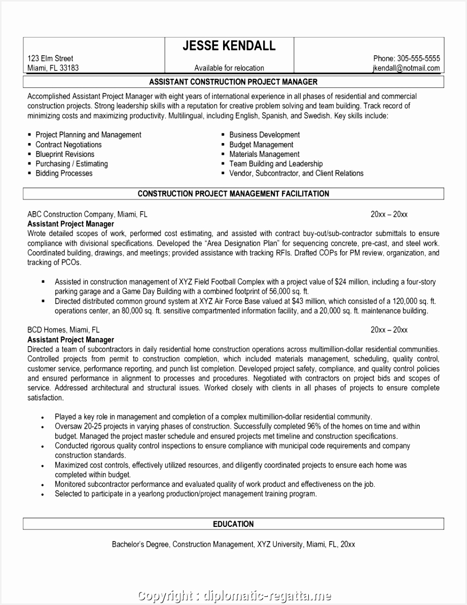 New It Manager Resume Title Download Construction Project Samples 1192921dfqhw