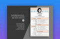 Best 9+ Graphic Designer Sample Resume