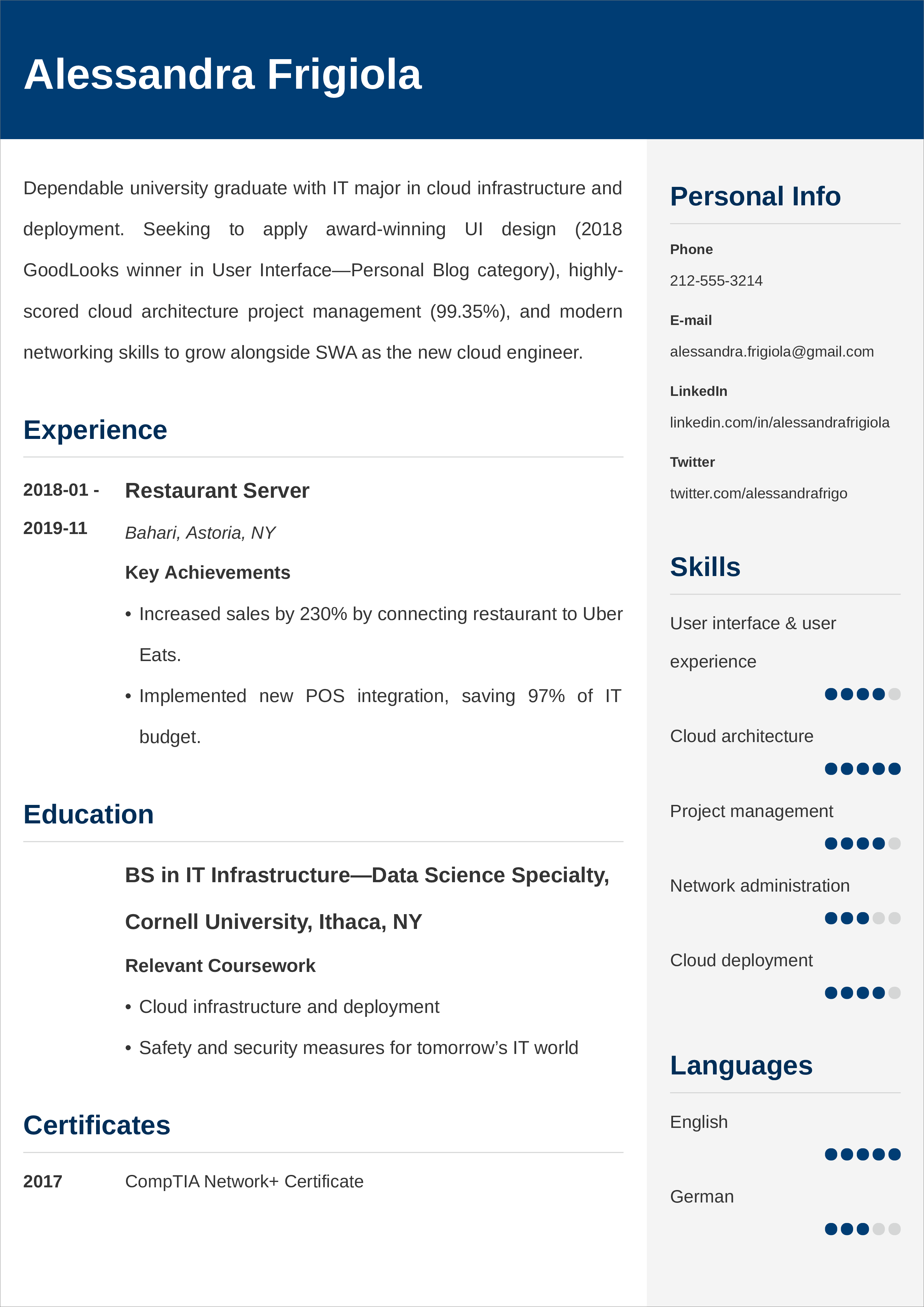 Entry Level Resume Examples Template Tips