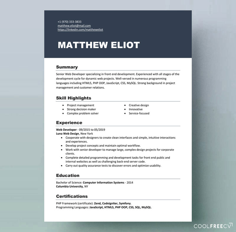 Resume Templates Examples Free Word Doc