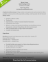 Best 8+ Professional Summary Resume