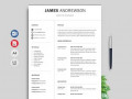 20+ Professional Resumes Templates Free