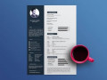Free Illustrator Resume Template