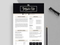Free Ai Resume Templates