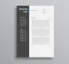 Free Infographic Resume Template