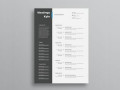 Minimalist Resume Template Word Free