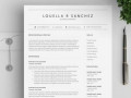 Mac Resume Templates