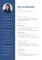 Best Resume Templates For Sales Professionals