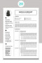 Need A Resume Template