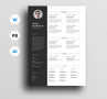 Free Minimalist Resume Template Word