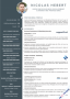 Business Resume Template