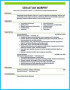 Aviation Resume Template