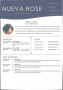 Google Docs Templates Resume